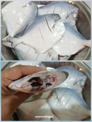 Pomfret Fry preparation