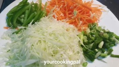 Vegetable Spring Rolls preparation