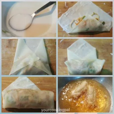 Vegetable Spring Rolls preparation